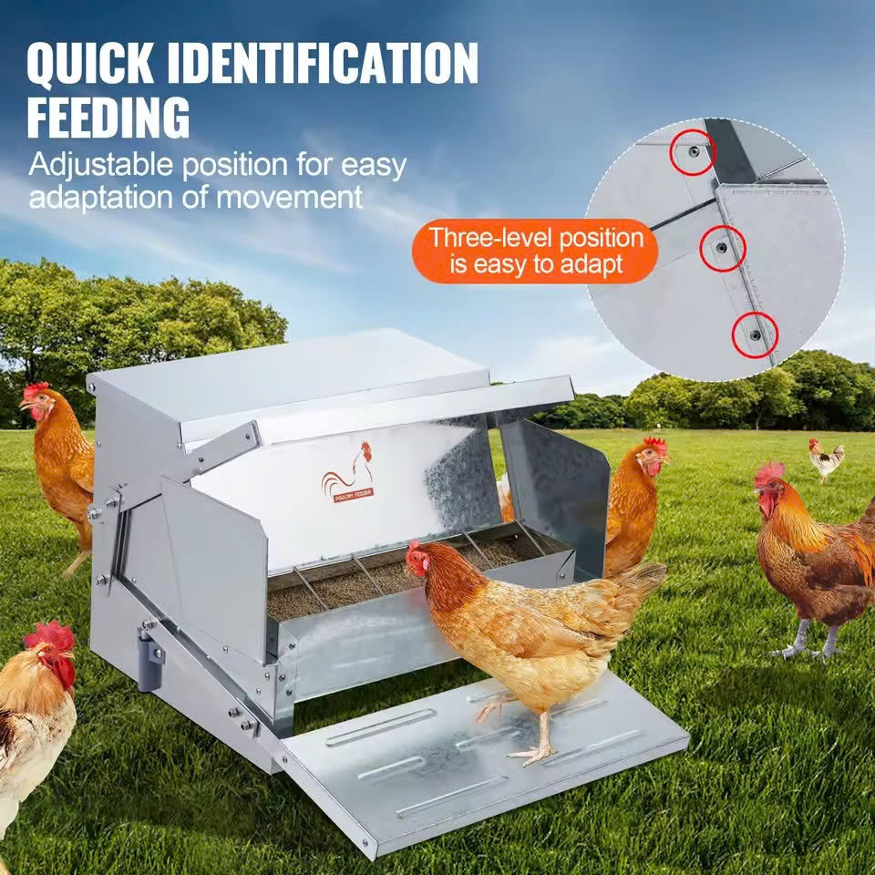 Cozyora PestGuard Automatic Chicken Feeder