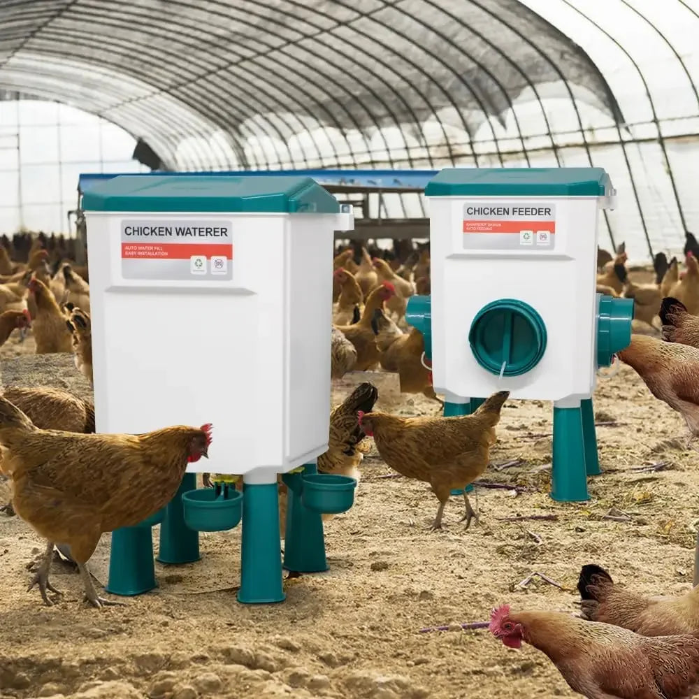 COZYORA™ Waterer and Feeder Set